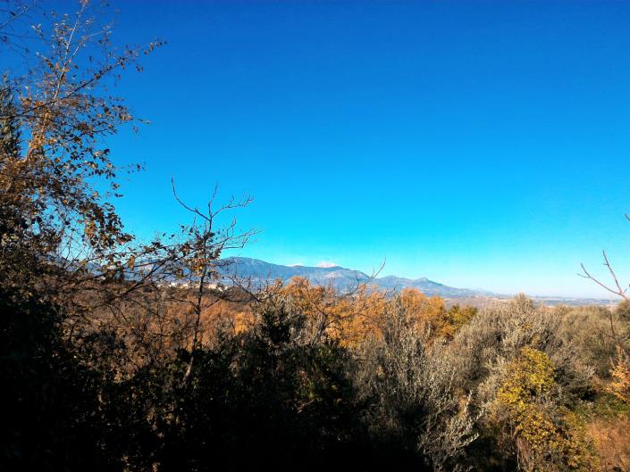 Image No.3-Land for sale