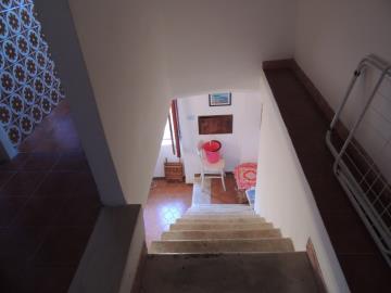 DSCN5887