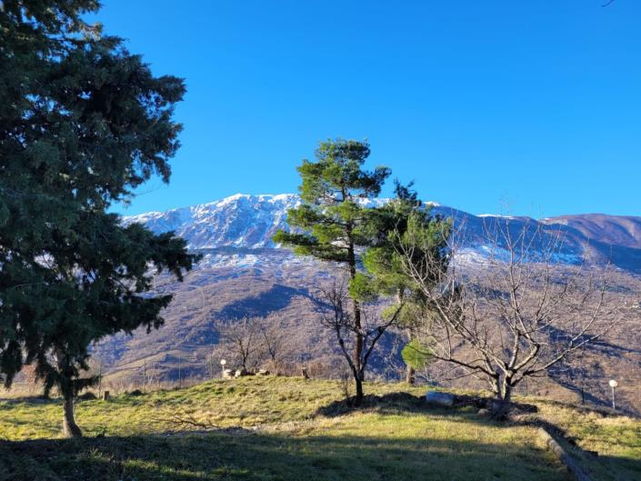 Image No.20-3 Bed Villa / Detached for sale