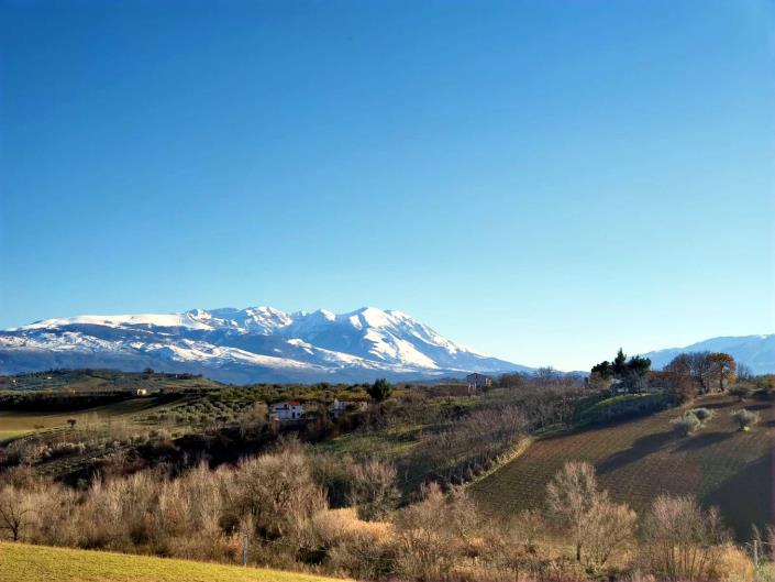 Image No.1-Terre à vendre à Cugnoli