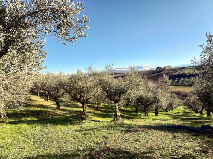 Image No.6-Land for sale