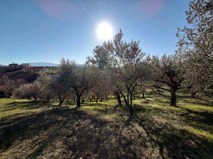 Image No.8-Land for sale