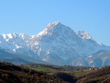 DSCN6409