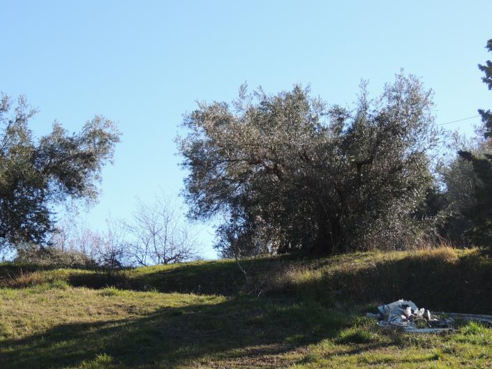 Image No.21-4 Bed Country House for sale