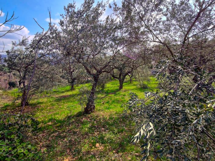 Image No.8-Land for sale