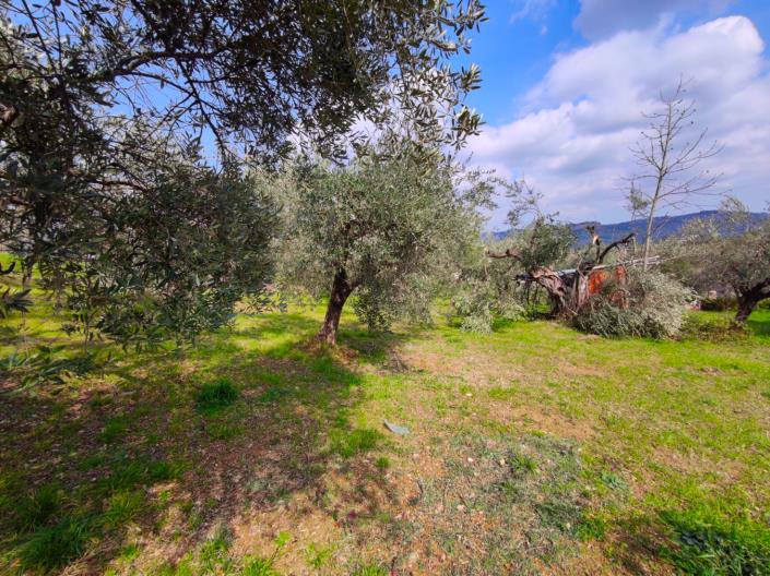 Image No.17-Land for sale