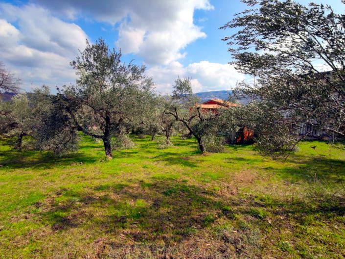 Image No.18-Land for sale