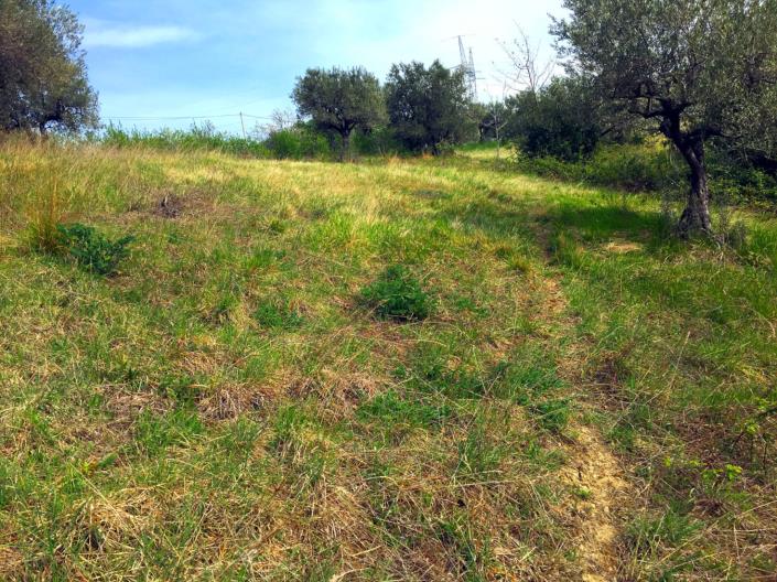 Image No.1-Land for sale