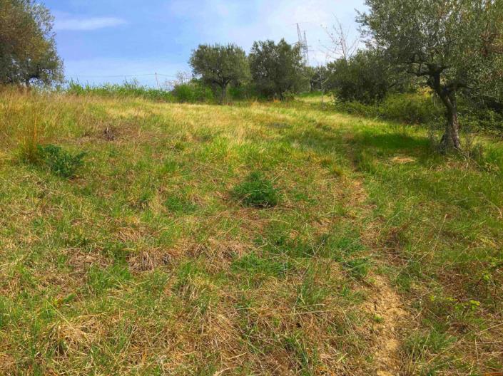 Image No.2-Land for sale