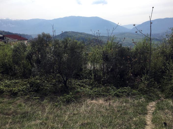 Image No.6-Land for sale