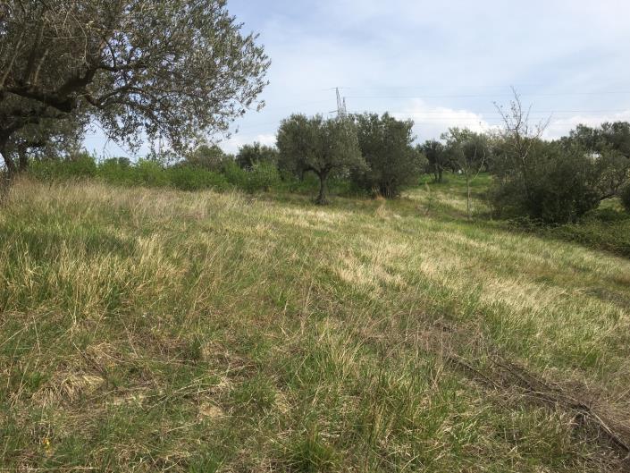 Image No.7-Land for sale