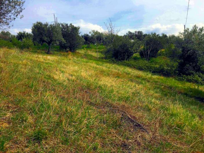 Image No.8-Land for sale