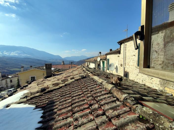 Image No.16-3 Bed House for sale