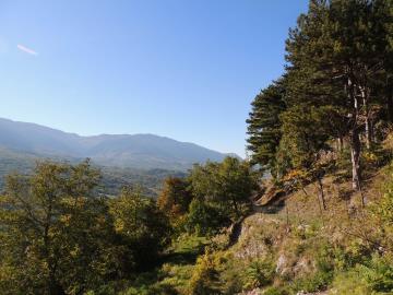 DSCN0365