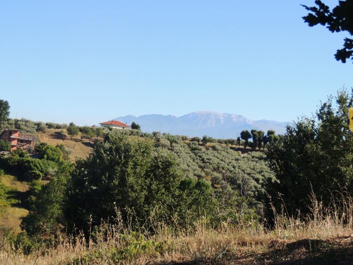 Image No.5-Terre à vendre à Torrevecchia Teatina