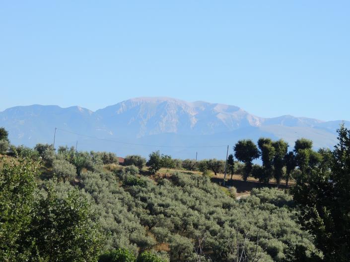 Image No.6-Terre à vendre à Torrevecchia Teatina