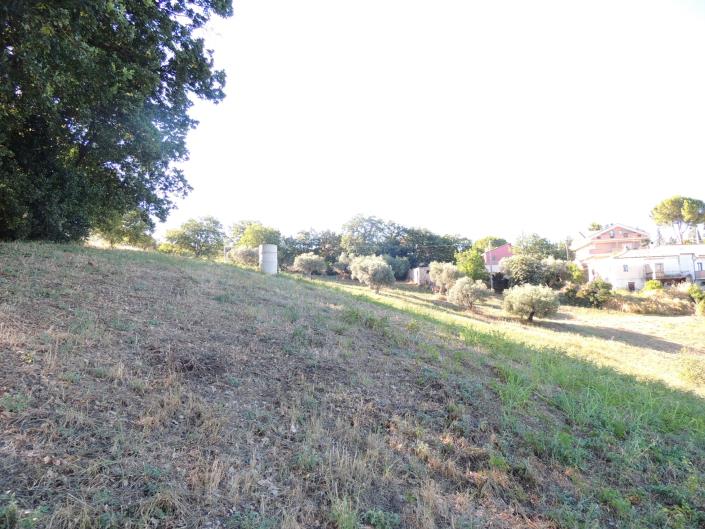 Image No.8-Terre à vendre à Torrevecchia Teatina