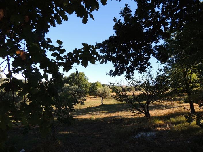 Image No.13-Terre à vendre à Torrevecchia Teatina