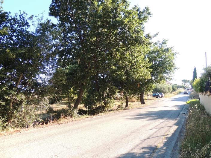 Image No.14-Terre à vendre à Torrevecchia Teatina