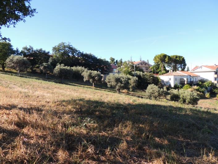 Image No.15-Terre à vendre à Torrevecchia Teatina