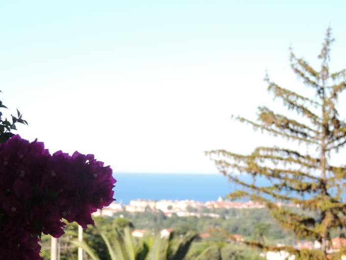 Image No.19-Terre à vendre à Torrevecchia Teatina