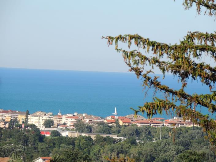 Image No.9-Terre à vendre à Torrevecchia Teatina