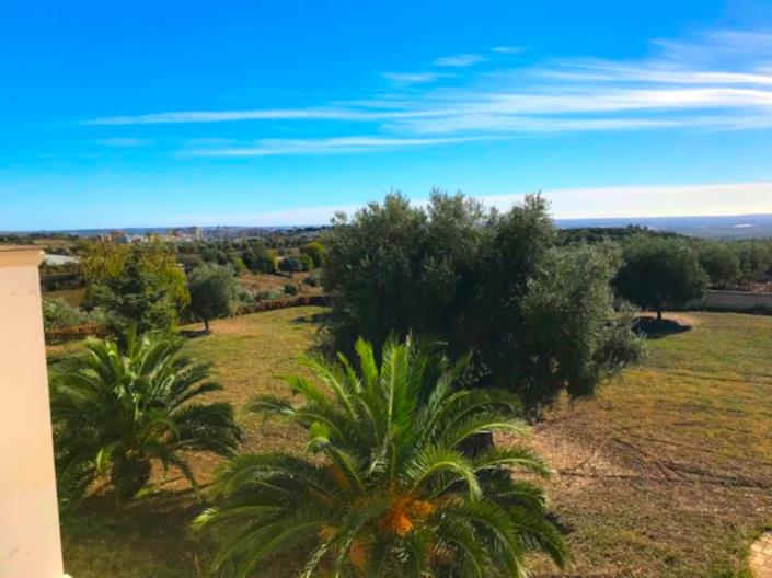 Image No.34-Villa de 5 chambres à vendre à Crispiano