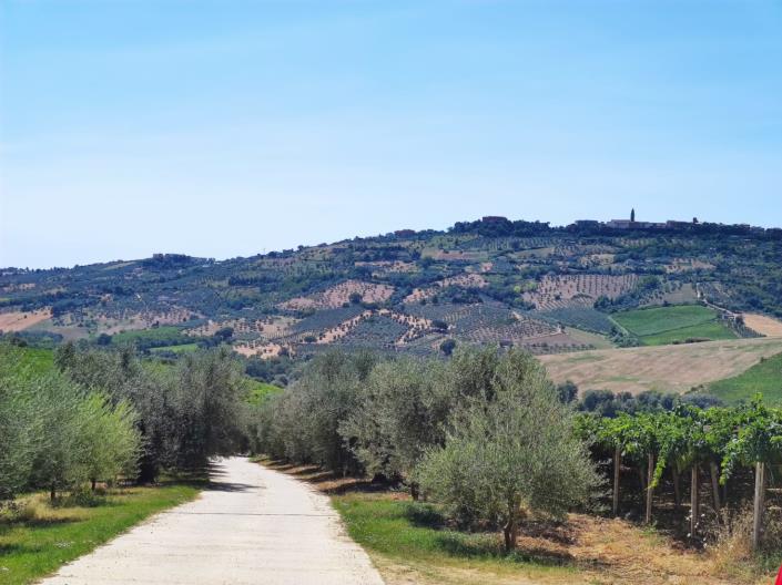 Image No.20-Cottage for sale