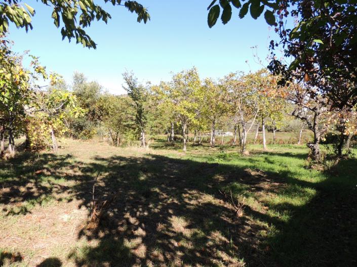 Image No.8-2 Bed House for sale