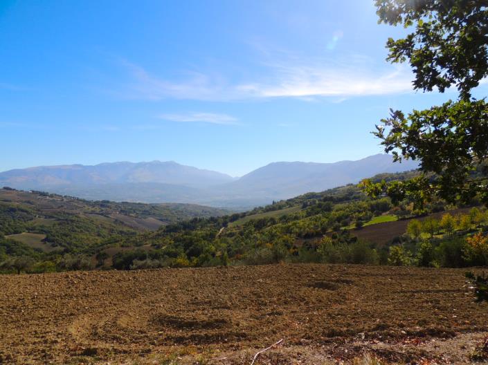 Image No.30-2 Bed House for sale