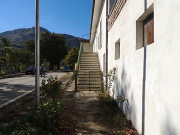 DSCN2203