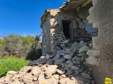 WhatsApp-Image-2025-12-15-at-17-32-38