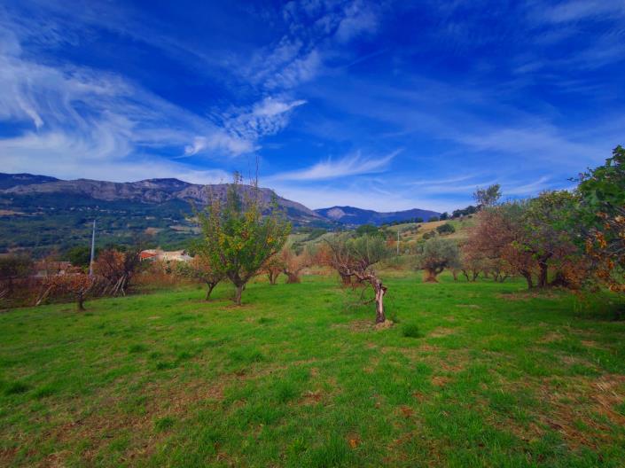 Image No.16-4 Bed Country House for sale