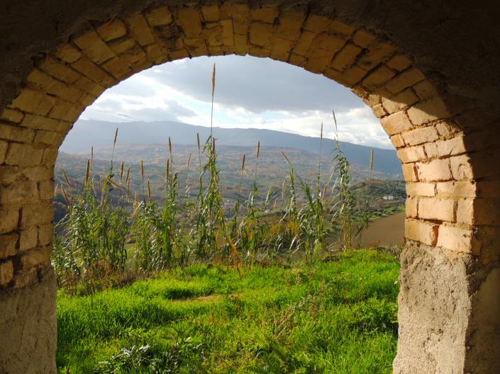 Image No.13-1 Bed House for sale