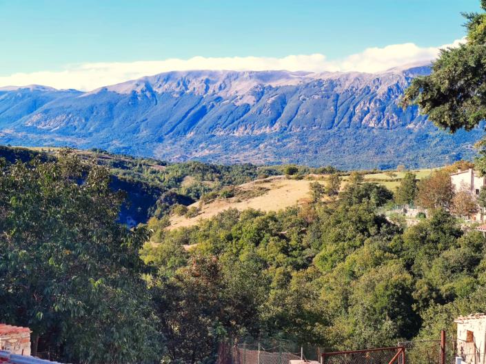 Image No.2-Property for sale