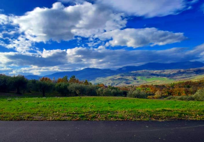 Image No.3-Land for sale