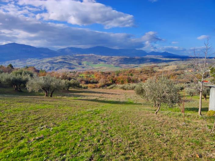 Image No.8-Land for sale