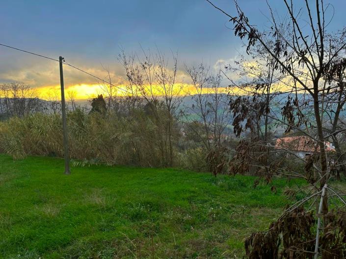 Image No.5-Land for sale