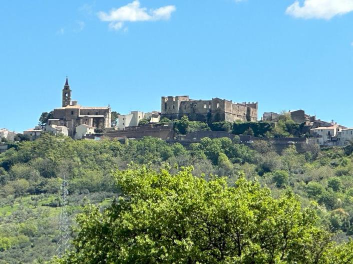 Image No.22-2 Bed House for sale