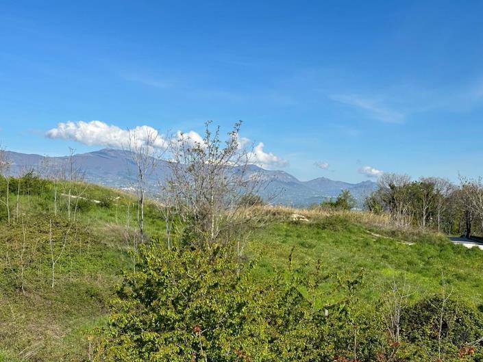 Image No.10-Land for sale