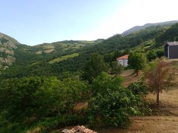 PANORAMA-2