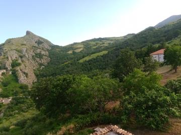 PANORAMA-3