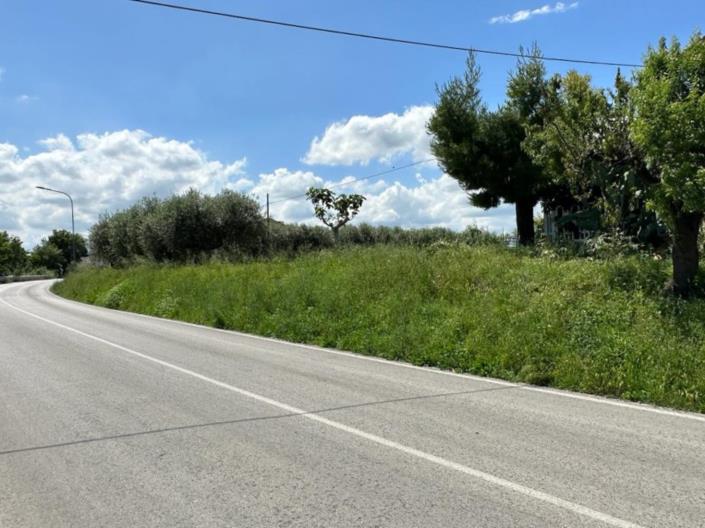 Image No.2-Land for sale