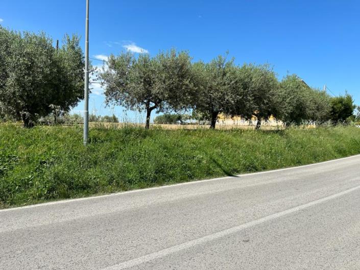 Image No.3-Land for sale