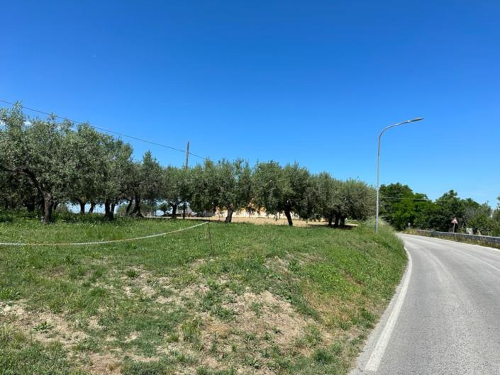 Image No.4-Land for sale