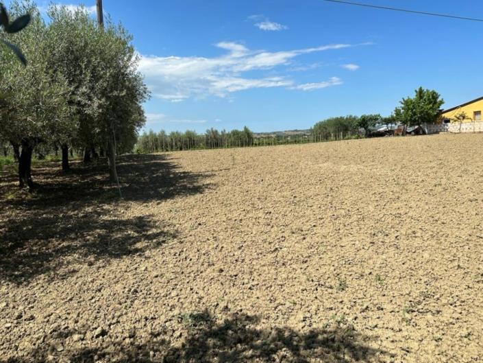 Image No.5-Land for sale