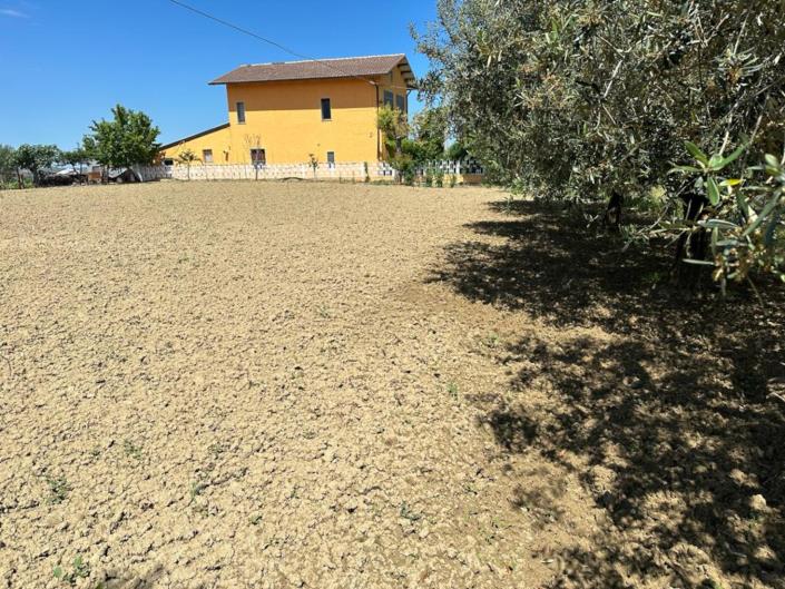 Image No.6-Land for sale