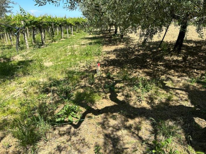 Image No.10-Land for sale