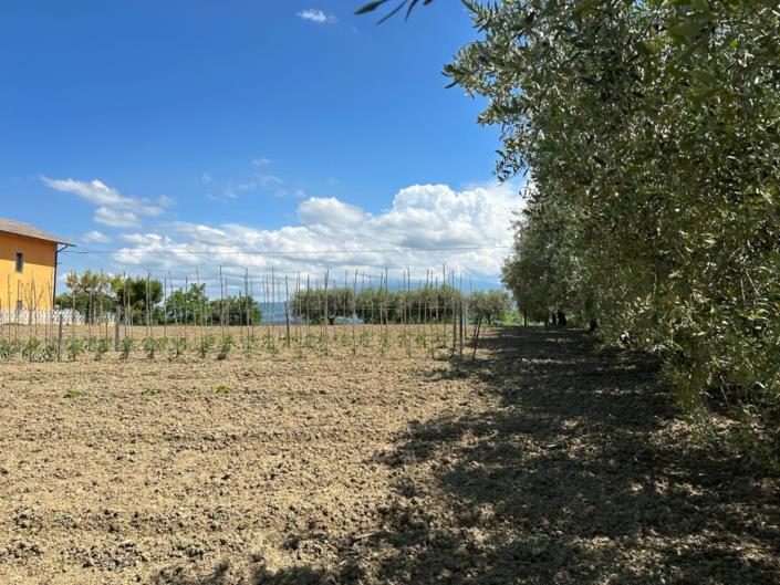 Image No.12-Land for sale