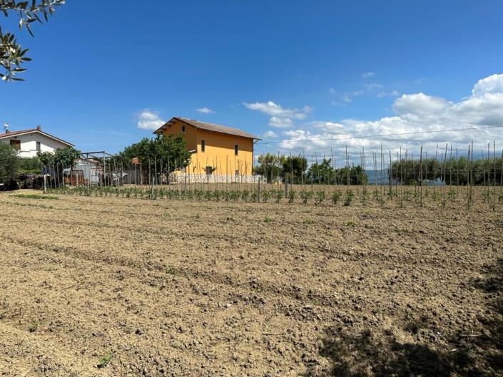 Image No.13-Land for sale